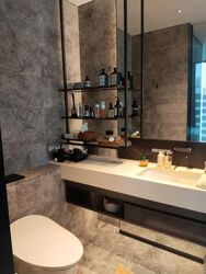 Cuscaden Reserve (D10), Condominium #602939121